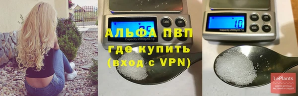 ГАЛЛЮЦИНОГЕННЫЕ ГРИБЫ Богородск