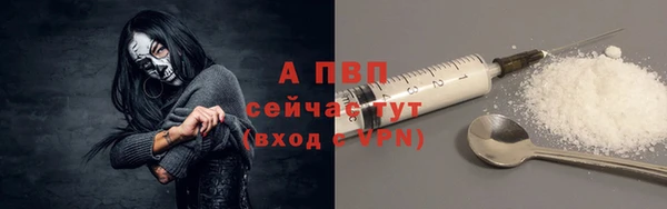 ГАЛЛЮЦИНОГЕННЫЕ ГРИБЫ Богородск