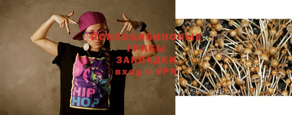 дживик Беломорск