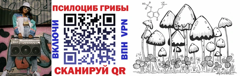 Галлюциногенные грибы Cubensis  даркнет клад  Волосово 